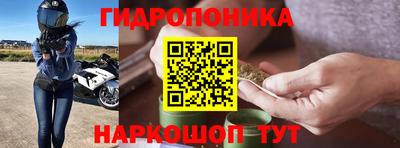 дурь Славгород